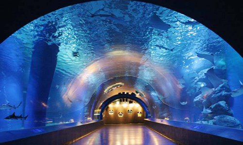夜の水族館_謎解きコン_3