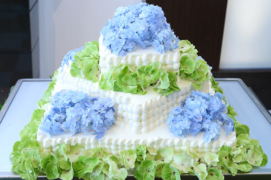 cake009