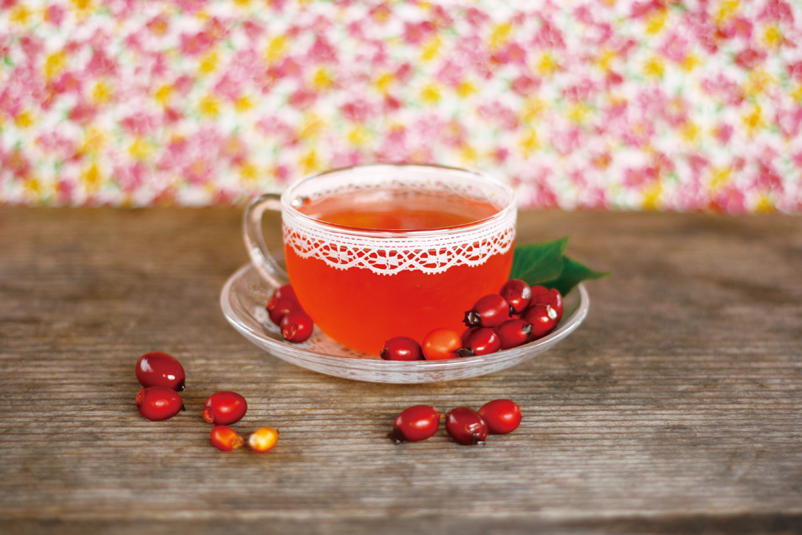 rosehip