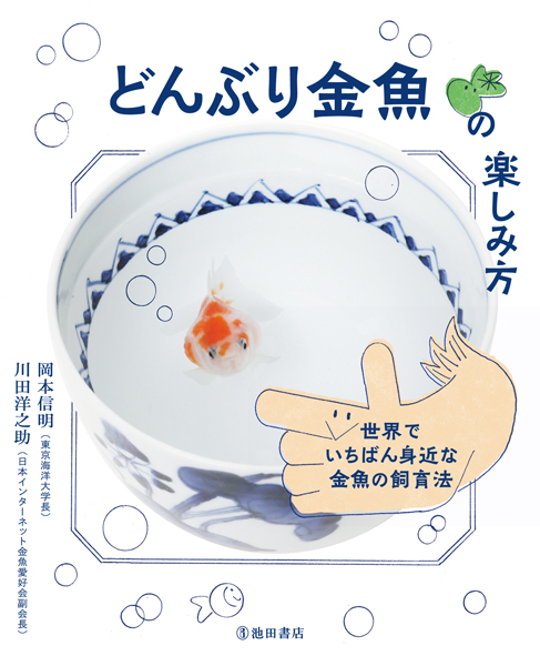 どんぶり金魚の楽しみ方