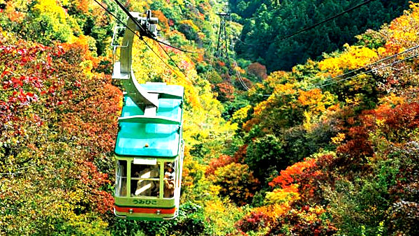 新潟県 食×紅葉の満喫旅行に注目!