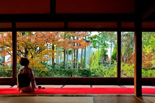 京都の穴場紅葉スポット