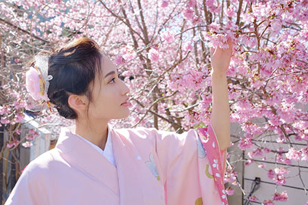 2015年開花宣言