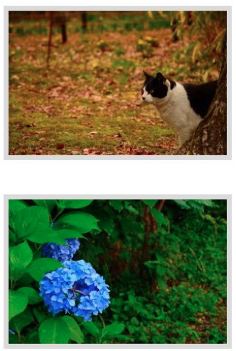 snsにおしゃれな写真を投稿するコツ2