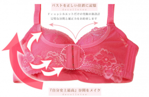 Fcupシルエット5