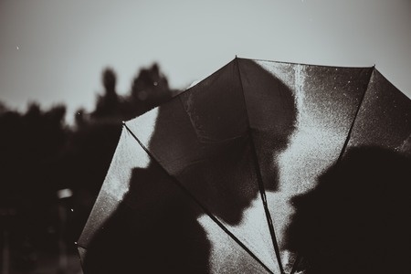 25590103_s