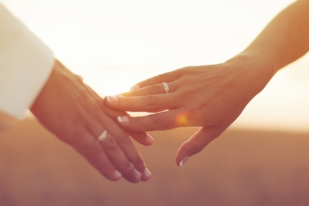 16557615 - wedding couple holding hands on sunset background