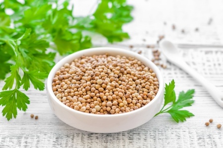 25010845 - coriander