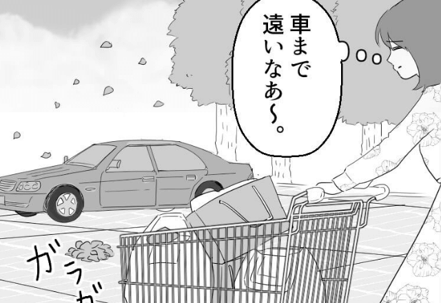 大量の商品を購入！「車まで遠いなあ～」カートで荷物を運び…⇒帰宅後、車に入れたはずの荷物が消えた！？⇒予想外の展開に爆笑！