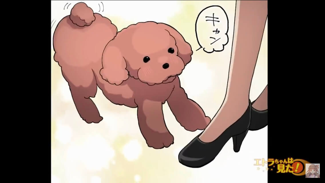＜犬を拾ったら泥棒扱いされた話＞＃2
