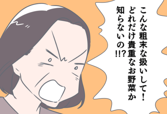 義母が放置した野菜から“異臭”が…しかし義母は嫁に【責任転嫁】！？⇒「あり得ない」ドン引きする女性の発言