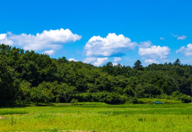 “完璧主義な義母“の元へ夏の帰省。しかし、楽しく過ごすはずが緊張の連続に変わった理由
