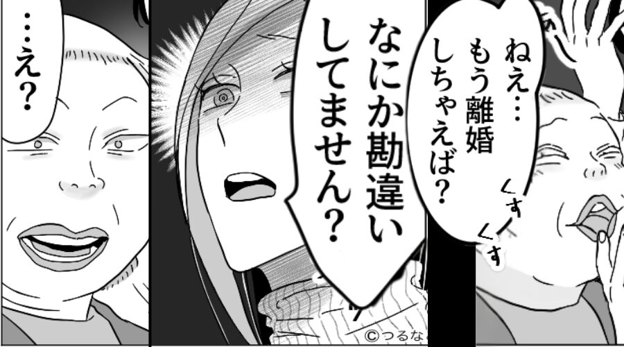「もう離婚しちゃえば？」金を蝕む嫁イビリ義母！？しかし⇒「何か勘違いしてません？」嫁が繰り出した【一手】に…「え？」