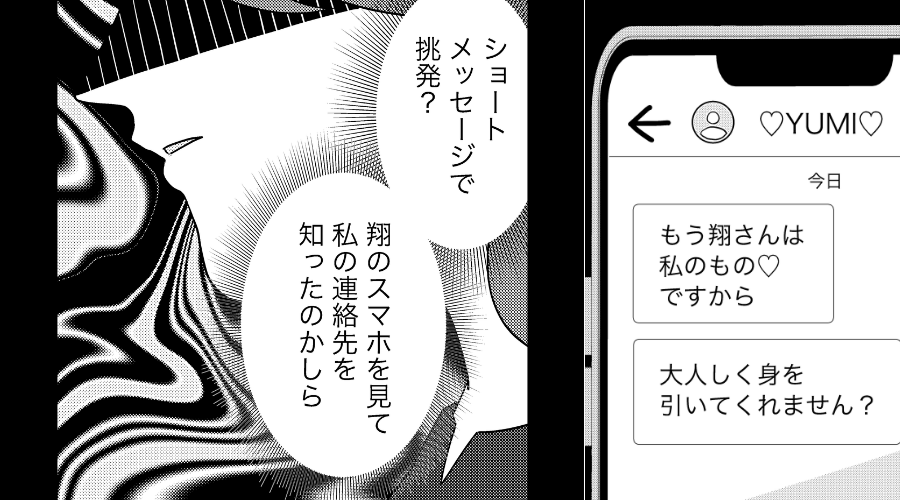 夫を奪った女が“勝利宣言”してきたが⇒妻「じゃあ彼の…」明かされた衝撃の事実に、女「へ？え…嘘でしょ！？」