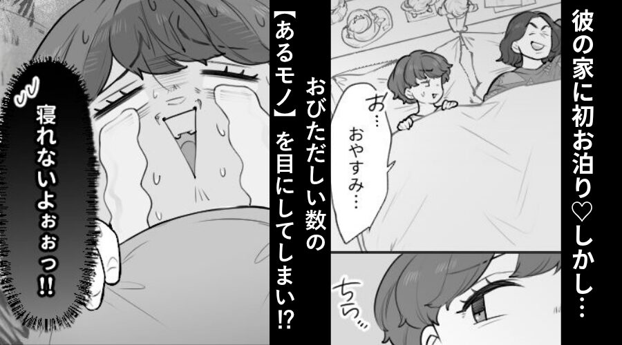彼の家に初お泊り♡しかし彼が隣で眠る中⇒おびただしい数の【あるモノ】を目にし…朝まで一睡も出来なかったワケ