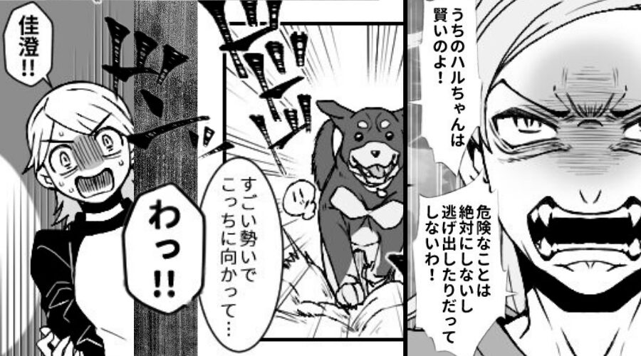 リードなしで大型犬を散歩！注意しても、飼い主「うちの子は賢いから」しかし⇒犬が走り出した直後【ドンッ！！】